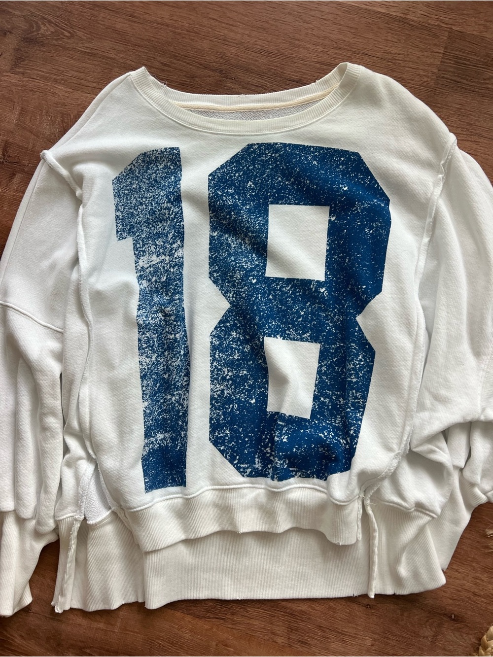 Free People We The Free Graphic Camden Pullover Size Small RT $98